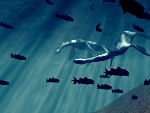 Marine Reptiles Prints: Plesiosaurs