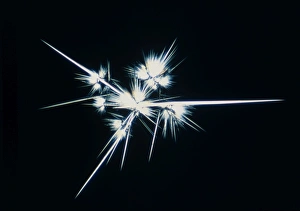 Polarised LM of streptomycin crystals Polarised LM of streptomycin crystals