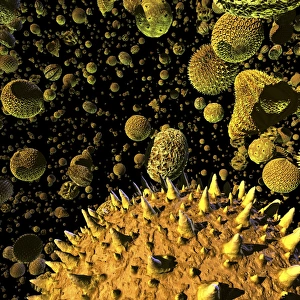 Pollen grains Print