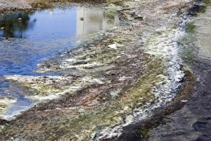 Environmental Degradation Images Prints: Polluted river, USA
