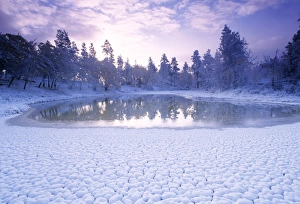 Winter Scenery Photography Prints: Pond in winter