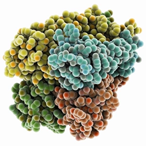 Cell Membrane Structure Prints: Potassium channel molecule