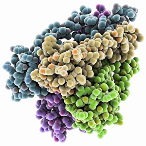 Potassium ion channel protein structure Potassium ion channel protein structure