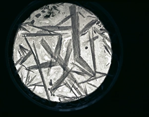 Prints of Potassium nitrate (KNO3) crystals, as seen through a light microscope. These large crystals form by slow cooling of the crystallizing solution Images Dated 2004 February: Potassium nitrate crystals Print