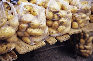 Potato Nutrition Prints: Potatoes