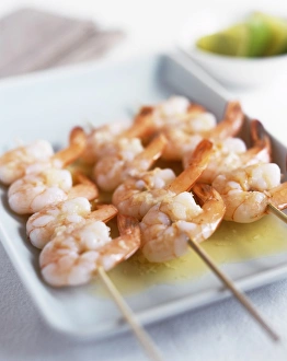 Prawn Nutrition Prints: Prawns