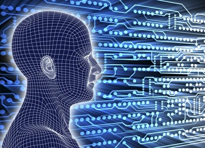 Printed circuit board and wireframe head Printed circuit board and wireframe head