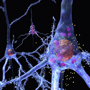 Prion disease treatment, artwork C018/1838 Prion disease treatment, artwork C018/1838