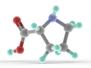 Proline Molecule Print: A 3D Molecular Model