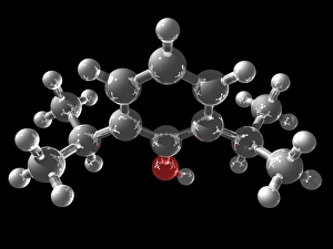 Prints of Propofol molecule. Computer model showing the structure of a molecule of the sedative drug, propofol. Atoms are colour-coded (carbon: dark grey, hydrogen: light grey, and oxygen: red) Images Dated 2010 January: Propofol Molecule Print