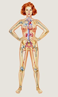 Prosthetic woman: artwork of artificial implants Prosthetic woman: artwork of artificial implants