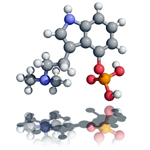 Psilocybin Molecule Print