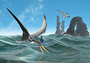 Pteranodon catching fish Print