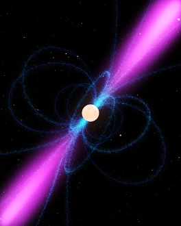 Prints of Pulsar, computer artwork. A pulsar, a rapidly rotating neutron star, is the collapsed super-dense core of a massive star that has blown off its outer layers in a supernova Images Dated 2010 February: Pulsar Print - Rotating Neutron Star with Magnetic Field