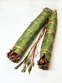Prints of Qat. Stems of the Ethiopian Qat or Khat plant (Catha edulis). The stems have been wrapped in banana leaves to preserve their freshness Images Dated 2004 May: Ethiopian Qat Stems Print