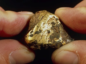 Images Dated 19th March 2004: Quartz and native gold Print