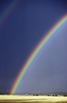 Nature Scenery Photo Prints: Rainbow over a field