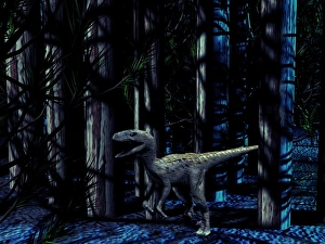 Carnivorous Dinosaurs Prints: Raptor dinosaur