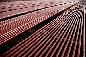 Prints of Red algae farming. Industrial facility for growing red algae (phylum Rhodophyta). Many forms of red algae are a traditional part of European and Asian cuisine Images Dated 2009 June: Red Algae Farming Print