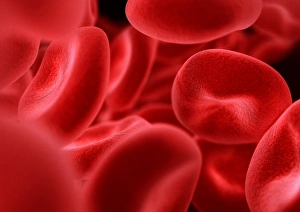 Red Blood Cell Print