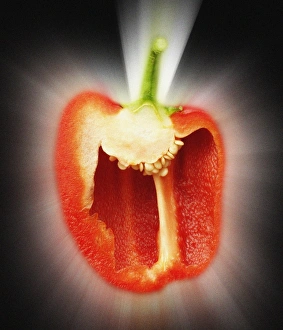 Capsicum Annuum Nutrition Prints: Red pepper