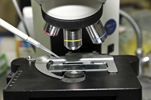Scientific Research Tools Prints: Research Laboratory