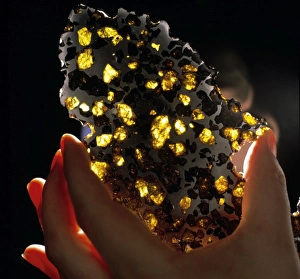 Researcher holds part of the Imilac meteorite Researcher holds part of the Imilac meteorite
