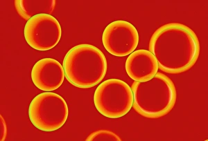 Resin Print: p-Methylbenzhydrylamine Beads