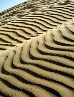 Images Dated 25th January 2001: Rippled sand dunes