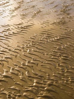 Coastal Erosion Images Prints: Rippled sand in regular pattern