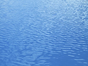 Water Ripple Effect Prints: Ripples in a swimming pool
