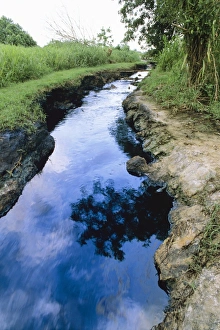 Environmental Damage Prints: River pollution