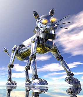 Images Dated 2012 April: Robot cat Print