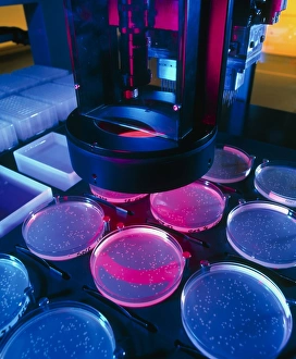 Robot picking bacteria containing human DNA Robot picking bacteria containing human DNA