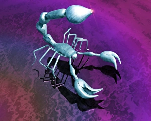 Prints of Robot scorpion. Computer artwork of a robot design based on that of a scorpion. Future robot designs will cover a wide range of sizes and uses Images Dated 2005 January: Robot Scorpion Print