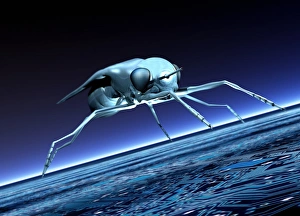 Robotic Fly Print
