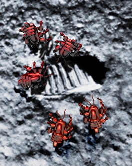 Lunar Surface Exploration Prints: Robots on the Moon
