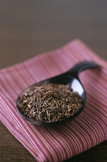 Medicinal Herbal Teas Prints: Rooibos tea