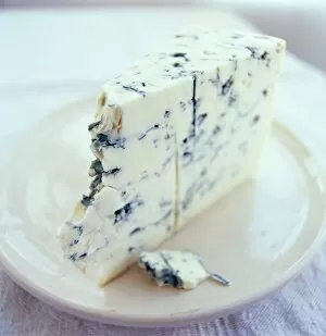 Images Dated 9th June 2003: Roquefort cheese
