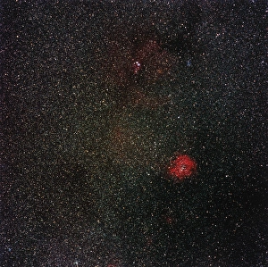 Monoceros Constellation Prints: Rosette Nebula