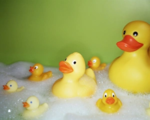Prints of Rubber ducks of assorted sizes and types in a foamy bath Images Dated 2003 February: Rubber Duck Print - Assorted Sizes in a Foamy Bath