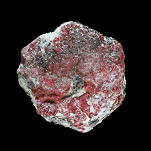 Natural History Museum London UK Prints: Ruby C016 / 5626