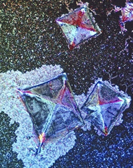 Polarised Light Microscopy Prints: Salt crystal, light micrograph