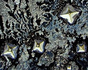 Light Micrograph Prints: Salt crystals, light micrograph