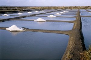 Sea Salt Production Prints: Salt pans
