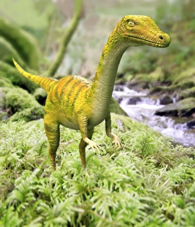 Prints of Saltopus. Computer artwork of a Saltopus dinosaur by a stream. Saltopus was a primitive theropod dinosaur that lived during the Late Triassic period (about 221 to 210 million years ago) Images Dated 2007 October: Saltopus Print: A 30cm tall, 60cm long theropod dinosaur near a stream