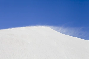 White sand dune print, Nambung national park