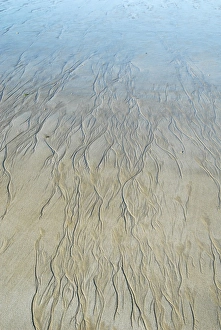 Low Tide Beach Prints: Sand patterns