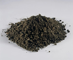 Images Dated 20th November 2003: Sandy Soil Print