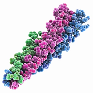 Images Dated 13th March 2013: SARS Virus Surface Protein Print